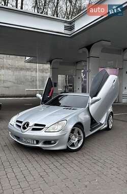 Родстер Mercedes-Benz SLK-Class 2005 в Житомирі