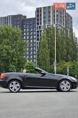 Mercedes-Benz SLK-Class 2010 Mercedes-Benz SLK-Class 2010