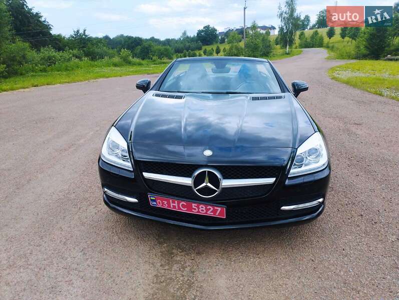 Родстер Mercedes-Benz SLK-Class 2011 в Долині