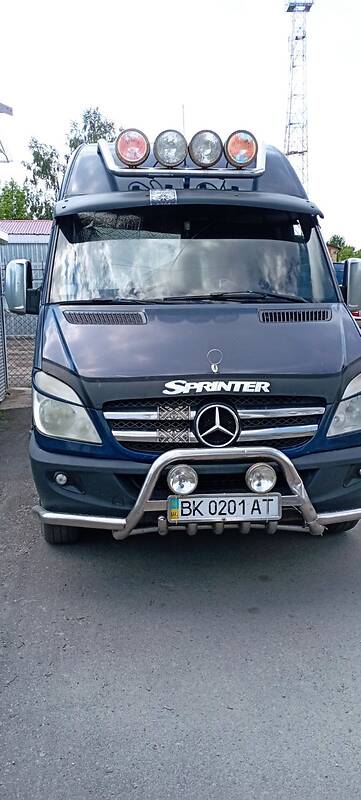 Mercedes-Benz Sprinter 315 груз.-пасс.
