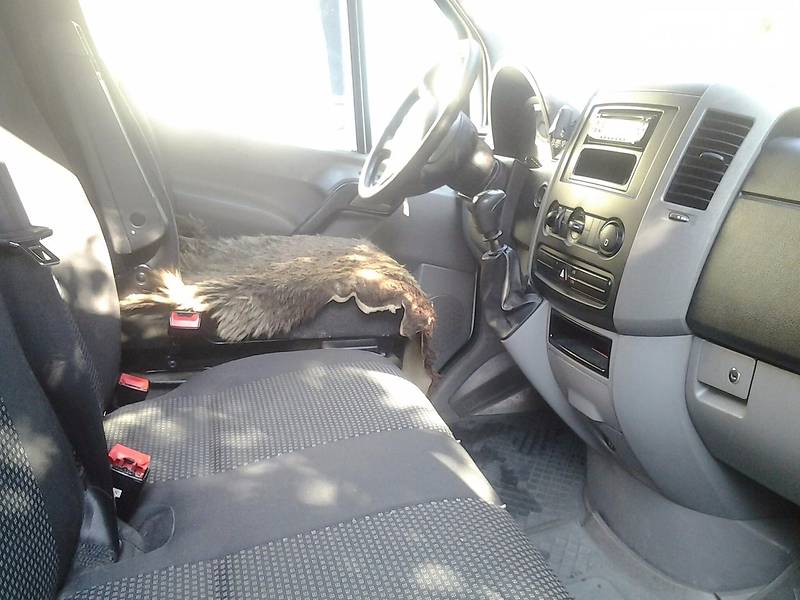 Мікроавтобус Mercedes-Benz Sprinter 2007 в Ужгороді