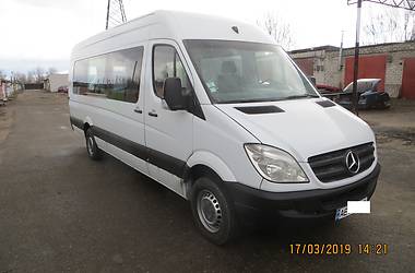 Микроавтобус Mercedes-Benz Sprinter 2009 в 