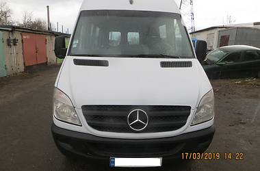 Микроавтобус Mercedes-Benz Sprinter 2009 в 