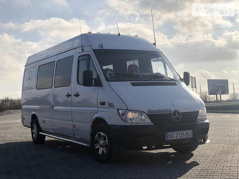 Микроавтобус Mercedes-Benz Sprinter 2002 в Лановцах