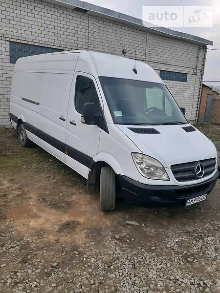 Микроавтобус Mercedes-Benz Sprinter 2006 в Бердичеве