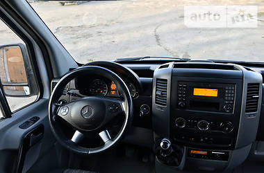 Микроавтобус Mercedes-Benz Sprinter 2013 в Кривом Роге