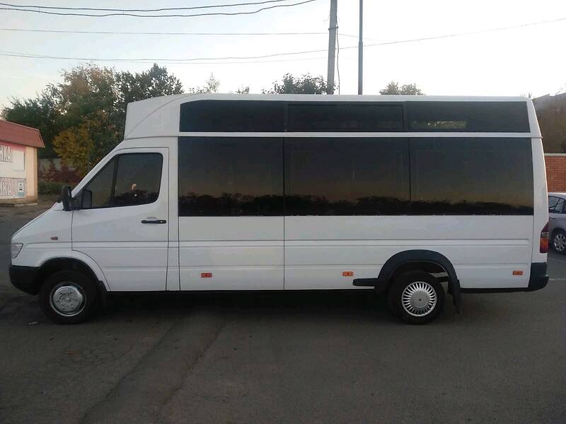 Мікроавтобус Mercedes-Benz Sprinter 2000 в Кривому Розі