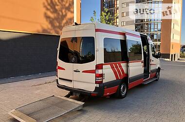 Микроавтобус Mercedes-Benz Sprinter 2009 в Ивано-Франковске