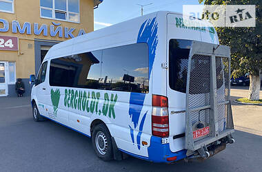 Микроавтобус Mercedes-Benz Sprinter 2009 в 
