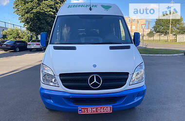 Микроавтобус Mercedes-Benz Sprinter 2009 в 