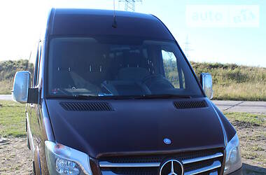 Микроавтобус Mercedes-Benz Sprinter 2016 в Воловце