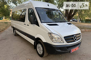 Микроавтобус Mercedes-Benz Sprinter 2010 в Кривом Роге