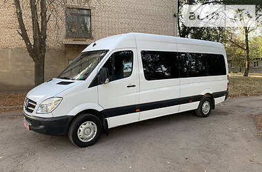 Микроавтобус Mercedes-Benz Sprinter 2010 в Кривом Роге