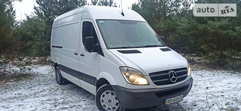 Грузопассажирский фургон Mercedes-Benz Sprinter 2008 в Бершади