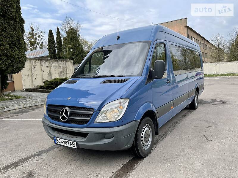 Микроавтобус Mercedes-Benz Sprinter 2010 в Межгорье