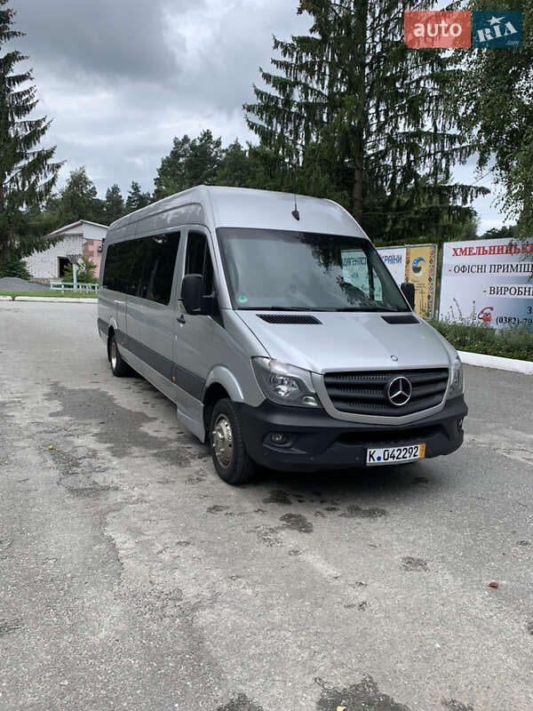 Мікроавтобус Mercedes-Benz Sprinter 2014 в Шепетівці