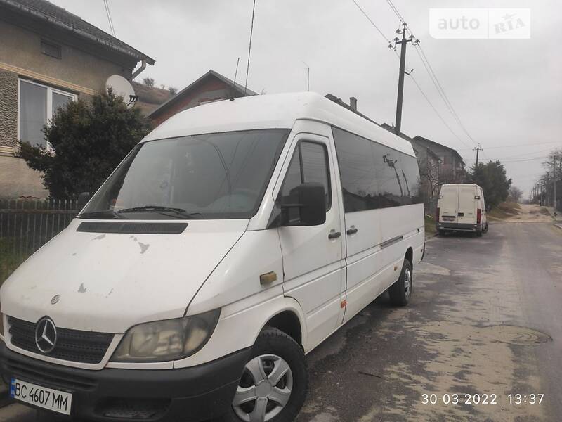 Микроавтобус Mercedes-Benz Sprinter 2003 в Николаеве