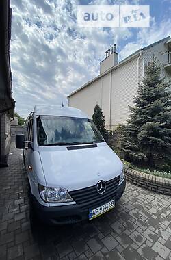 Микроавтобус Mercedes-Benz Sprinter 2002 в Запорожье