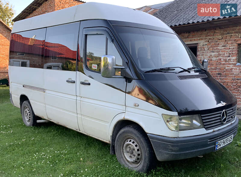 Микроавтобус Mercedes-Benz Sprinter 1995 в Бережанах