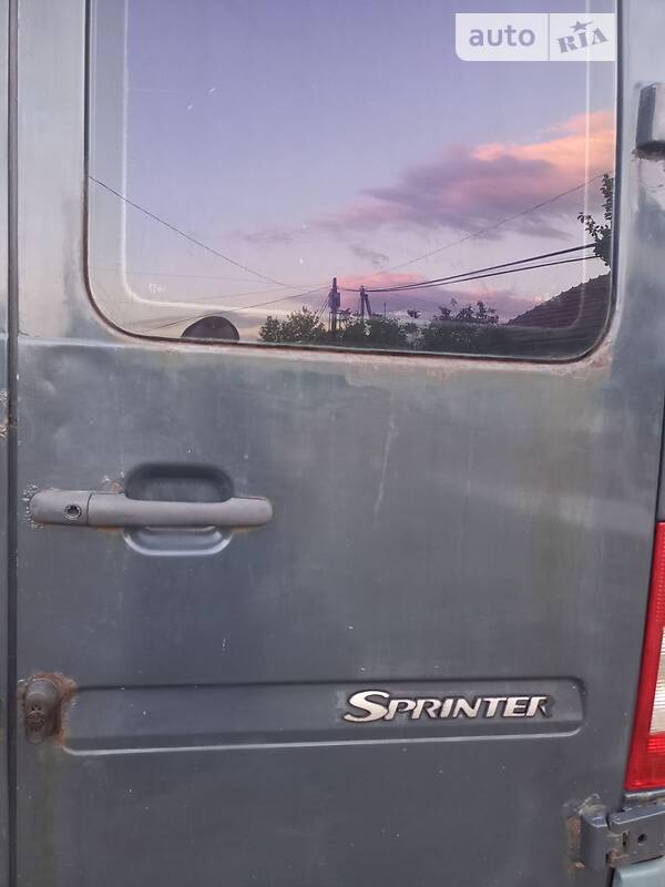 Микроавтобус Mercedes-Benz Sprinter 2005 в Берегово