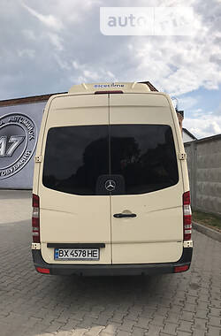 Мікроавтобус Mercedes-Benz Sprinter 2009 в Хмельницькому