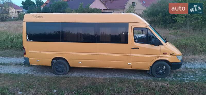 Микроавтобус Mercedes-Benz Sprinter 2004 в Хусте