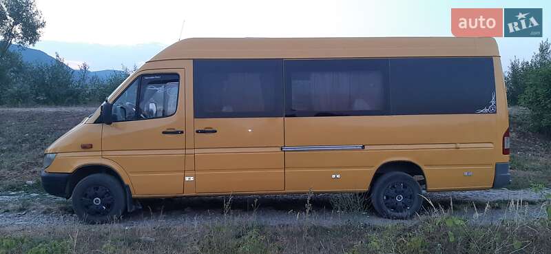 Микроавтобус Mercedes-Benz Sprinter 2004 в Хусте