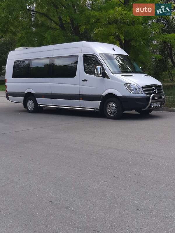 Мікроавтобус Mercedes-Benz Sprinter 2010 в Запоріжжі
