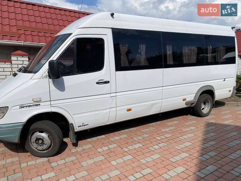 Мікроавтобус Mercedes-Benz Sprinter 1997 в Верхньодніпровську