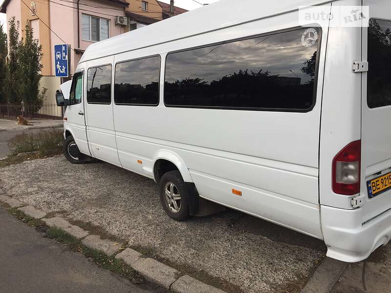 Микроавтобус Mercedes-Benz Sprinter 2004 в Николаеве