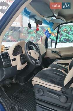 Микроавтобус Mercedes-Benz Sprinter 2010 в Городенке