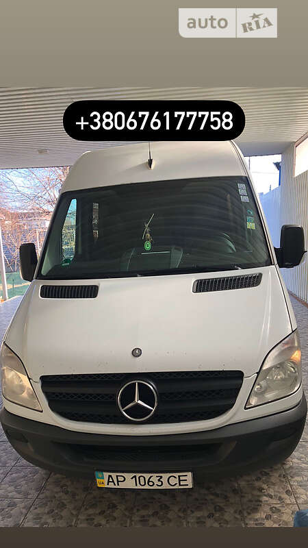 Микроавтобус Mercedes-Benz Sprinter 2008 в Запорожье