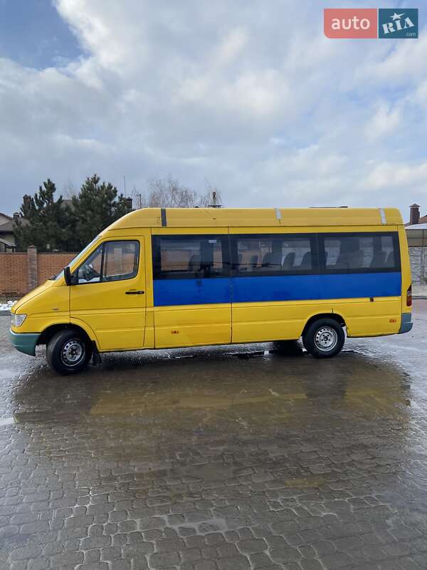 Микроавтобус Mercedes-Benz Sprinter 2000 в Днепре