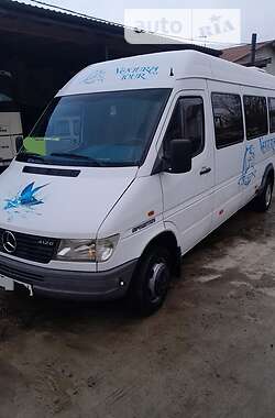 Микроавтобус Mercedes-Benz Sprinter 1996 в Калуше