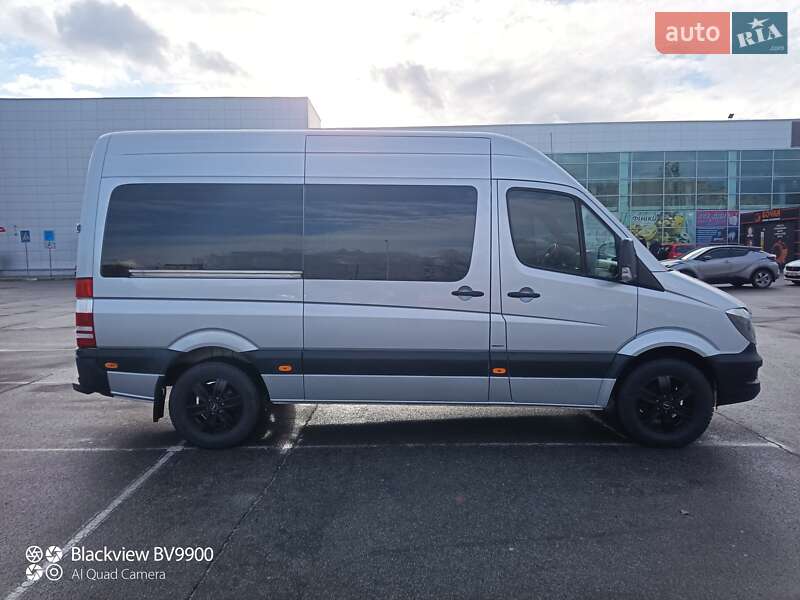 Микроавтобус Mercedes-Benz Sprinter 2016 в Запорожье
