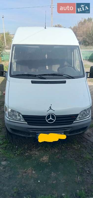 Микроавтобус Mercedes-Benz Sprinter 2002 в Киеве
