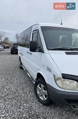 Микроавтобус Mercedes-Benz Sprinter 2004 в Глыбокой