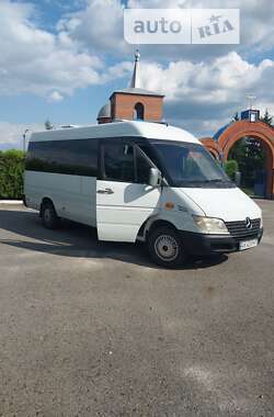 Мікроавтобус Mercedes-Benz Sprinter 2002 в Харкові