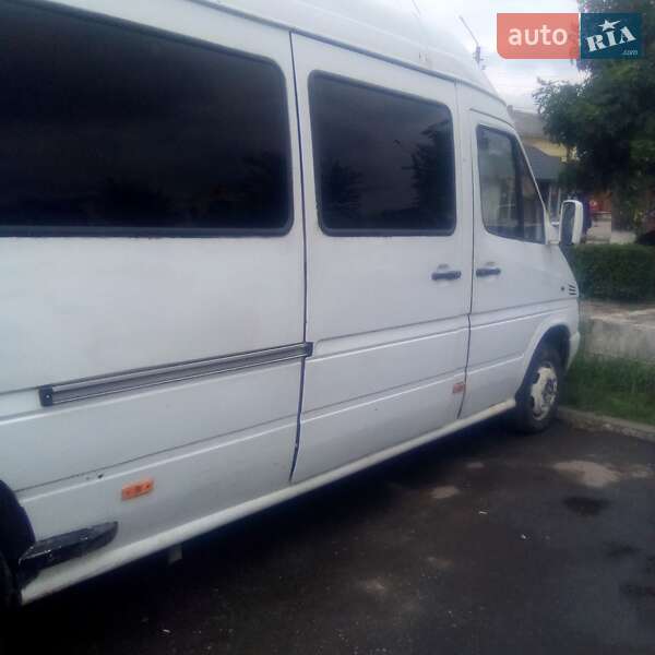 Мікроавтобус Mercedes-Benz Sprinter 1996 в Коломиї