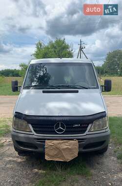 Микроавтобус Mercedes-Benz Sprinter 2004 в Черкассах