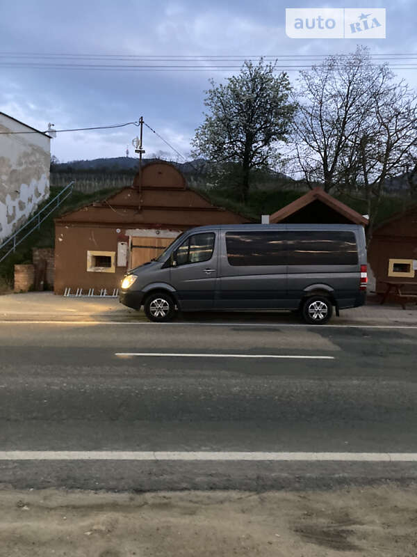 Мікроавтобус Mercedes-Benz Sprinter 2007 в Виноградові