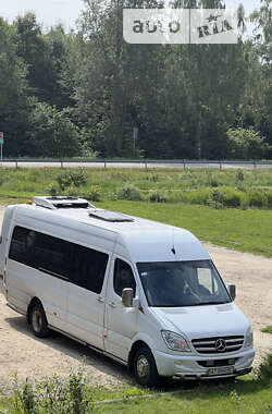 Микроавтобус Mercedes-Benz Sprinter 2011 в Рожнятове