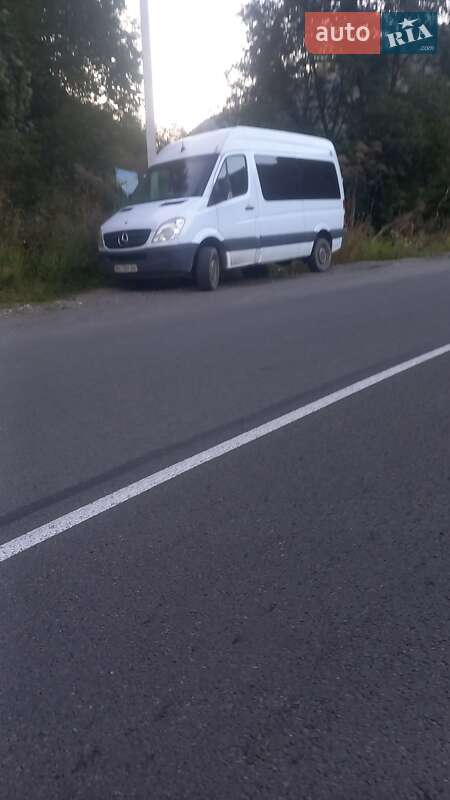 Микроавтобус Mercedes-Benz Sprinter 2008 в Межгорье