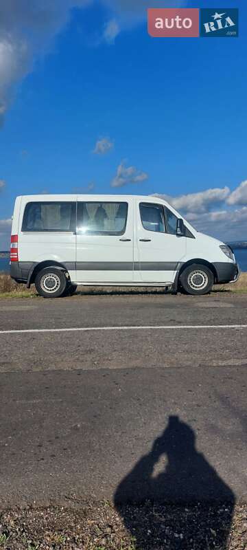 Микроавтобус Mercedes-Benz Sprinter 2007 в Николаеве