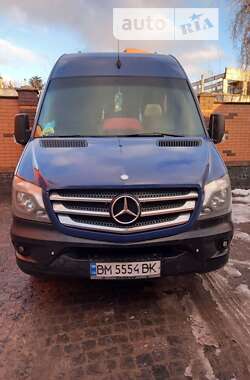 Мікроавтобус Mercedes-Benz Sprinter 2014 в Ромнах