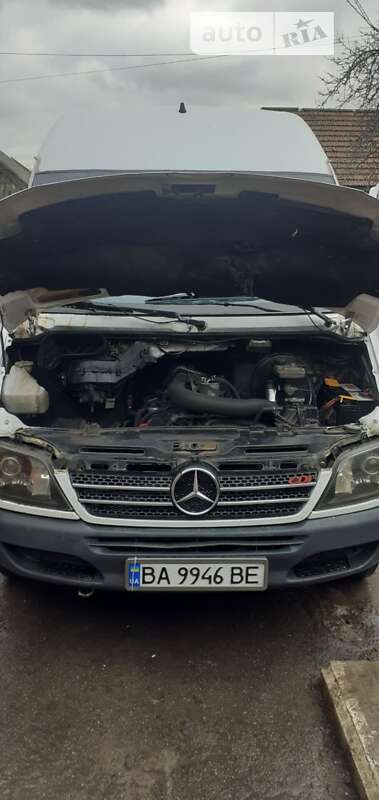 Грузовой фургон Mercedes-Benz Sprinter 2000 в Александрие