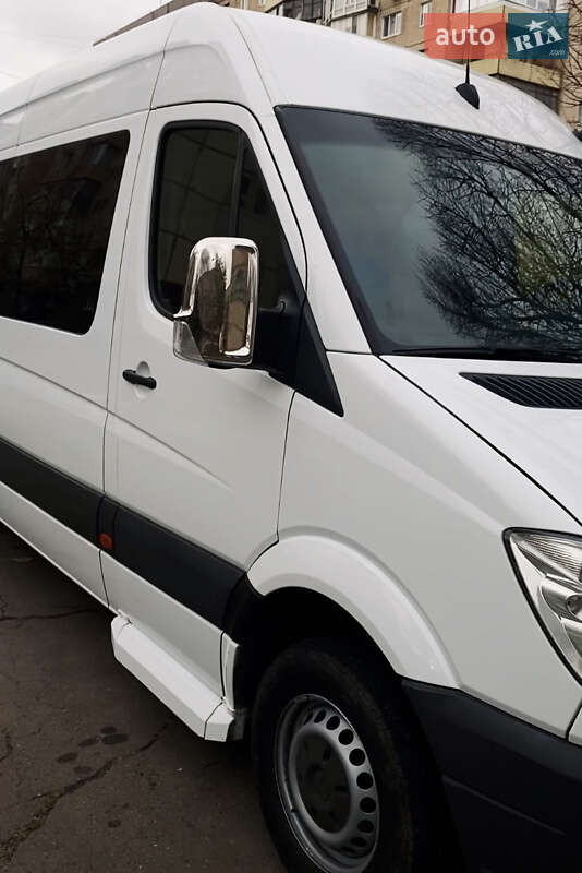 Микроавтобус Mercedes-Benz Sprinter 2010 в Кривом Роге фото 29 Микроавтобус Mercedes-Benz Sprinter 2010 в Кривом Роге