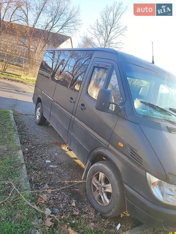 Микроавтобус Mercedes-Benz Sprinter 2002 в Берегово