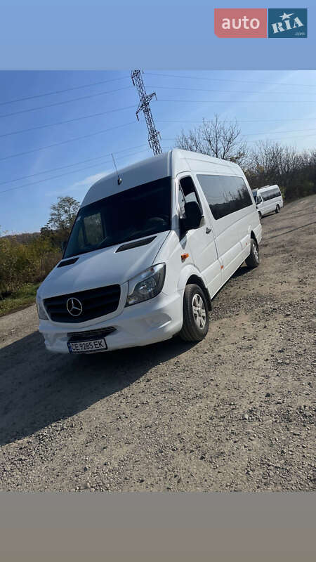 Мікроавтобус Mercedes-Benz Sprinter 2010 в Чернівцях