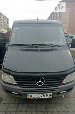 Мікроавтобус Mercedes-Benz Sprinter 2002 в Любешові